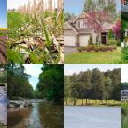 Challenging the standards of ‘beauty’ for our landscapes