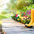 Confessions of a timid gardener, part 1: Finding resolution