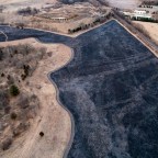 Burn, baby, burn: the use of fire in land management and restoration