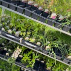 Confessions of a timid gardener, part 3: Time to get real and PLANT.