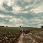 It’s a day for a field day!