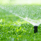 They say the grass is always greener…but should it be?