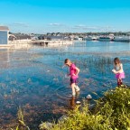 Conservation Potpourri: August edition