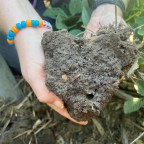 Connecting the dots between farming, weather, risk management, and soil health