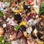 Oh compost! My compost!