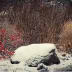 What happens when landscapes ‘go dormant’?