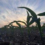 A farm, a family, and a lifetime of learning.