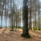 Walking the conservation talk – the importance of leading by example