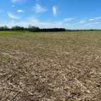 Yes, you ARE seeing more no-till and cover crops out there.